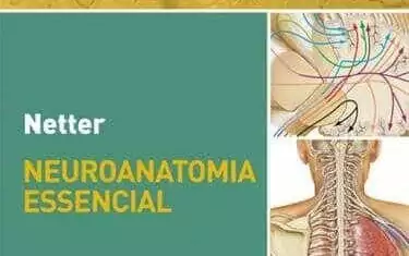 Netter, Neuroanatomia Essencial (Rubin) – 1. ed. PDF