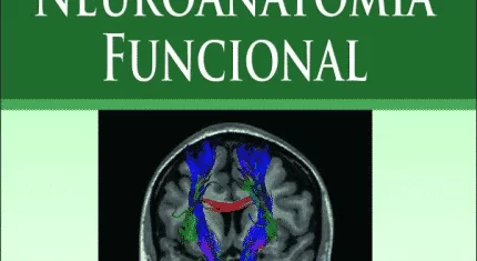 Neuroanatomia Funcional (Machado) – 3. ed. PDF