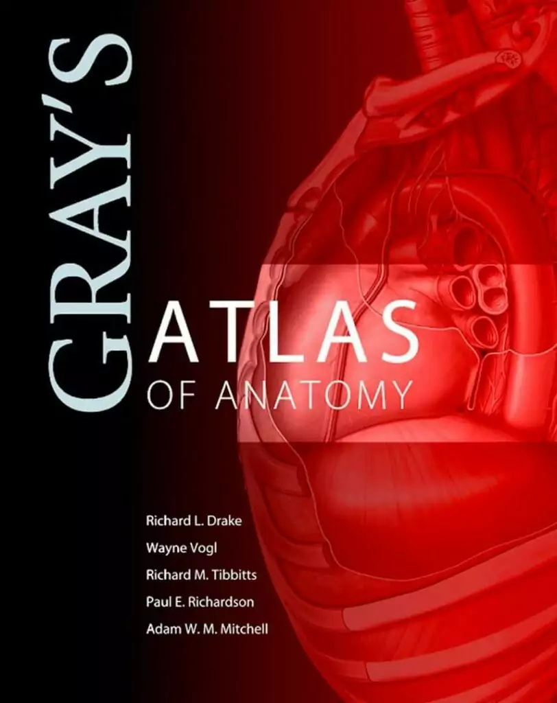 Gray’s Atlas de Anatomia (Drake) – 1. ed. PDF