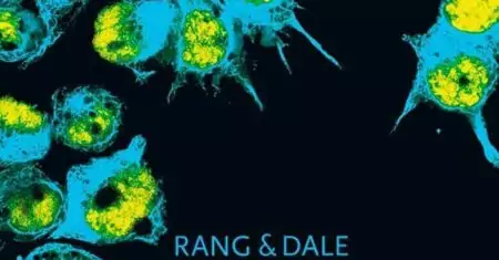 Rang & Dale, Farmacologia – 8. ed. PDF