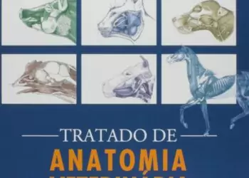 Tratado de anatomia veterinária - 4. ed. PDF