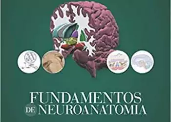 Nolte Fundamentos de Neuroanatomia - 2. ed. PDF e EPUB