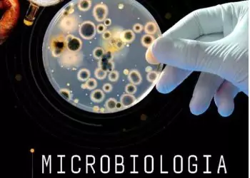 Microbiologia industrial: alimentos vol. 2 - 1. ed. PDF