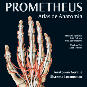 Prometheus atlas de anatomia, volume 1 – 4. ed. PDF